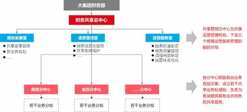 單一集中還是多中心分散 財務(wù)共享中心組織架構(gòu)的規(guī)劃思考